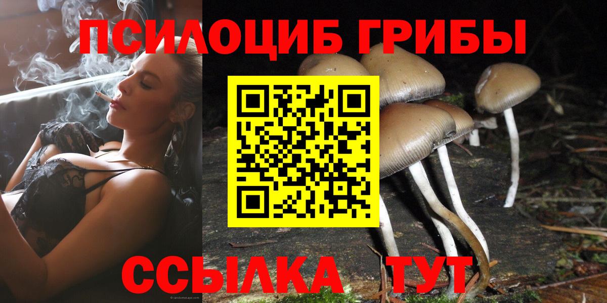 Псилоцибиновые грибы прущие грибы Реутов